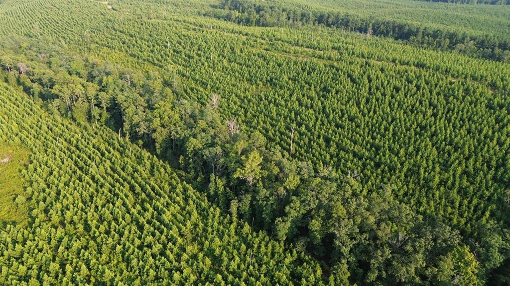 000 Off Baylor House Rd Property Photo 1