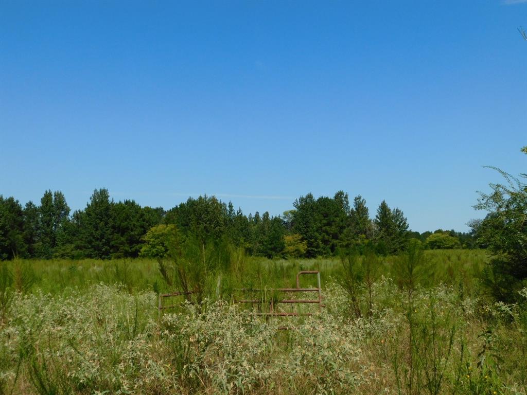 0 Cox Road Property Photo 2