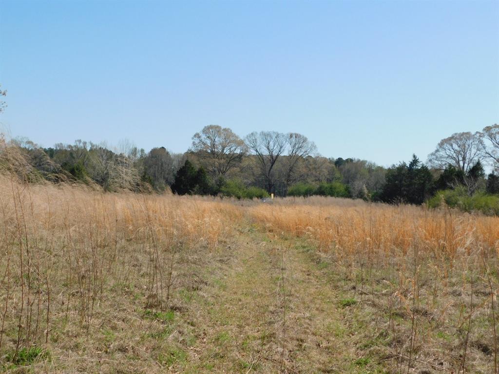 0 Cox Road Property Photo 11