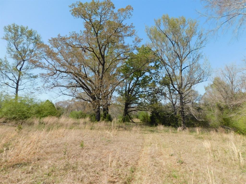 0 Cox Road Property Photo 12
