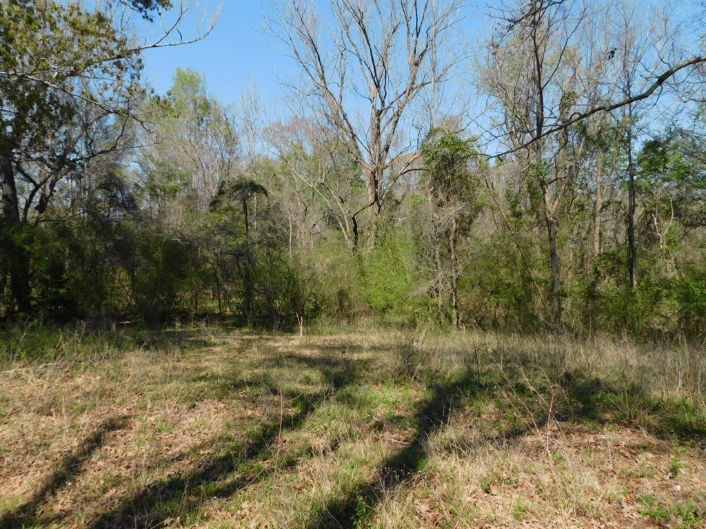 0 Cox Road Property Photo 13