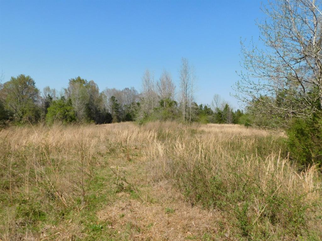 0 Cox Road Property Photo 14