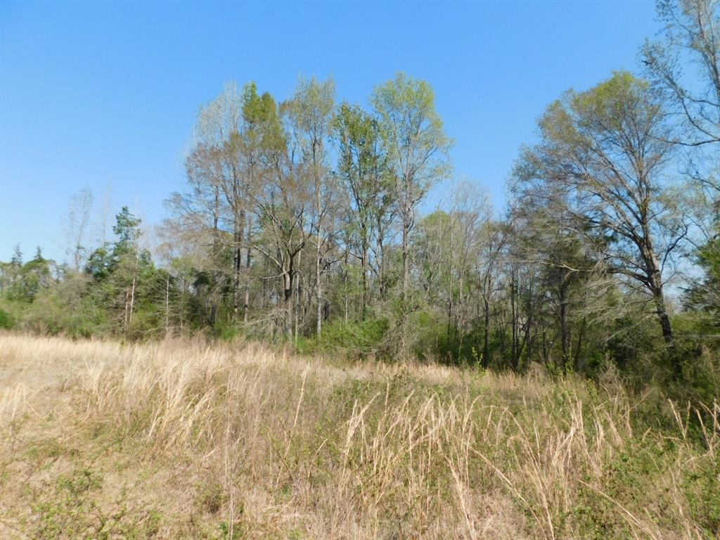 0 Cox Road Property Photo 15