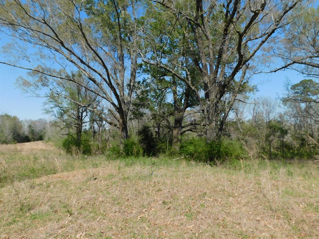 0 Cox Road Property Photo 18