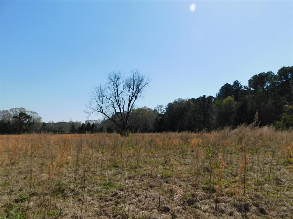 0 Cox Road Property Photo 19