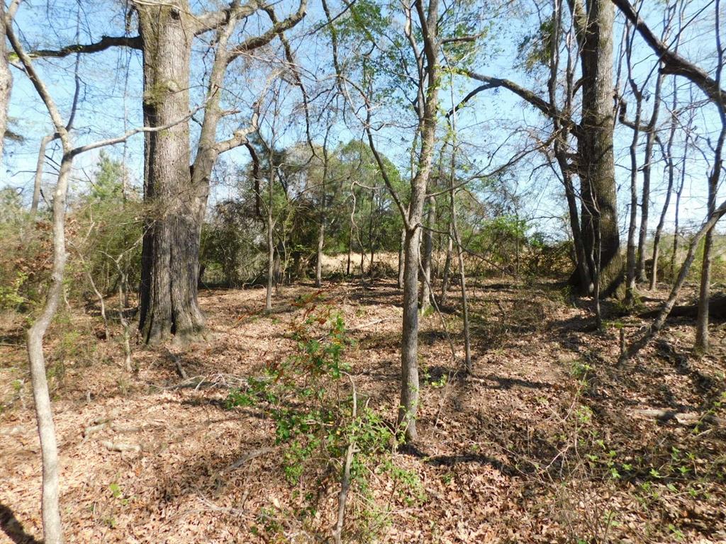 0 Cox Road Property Photo 21