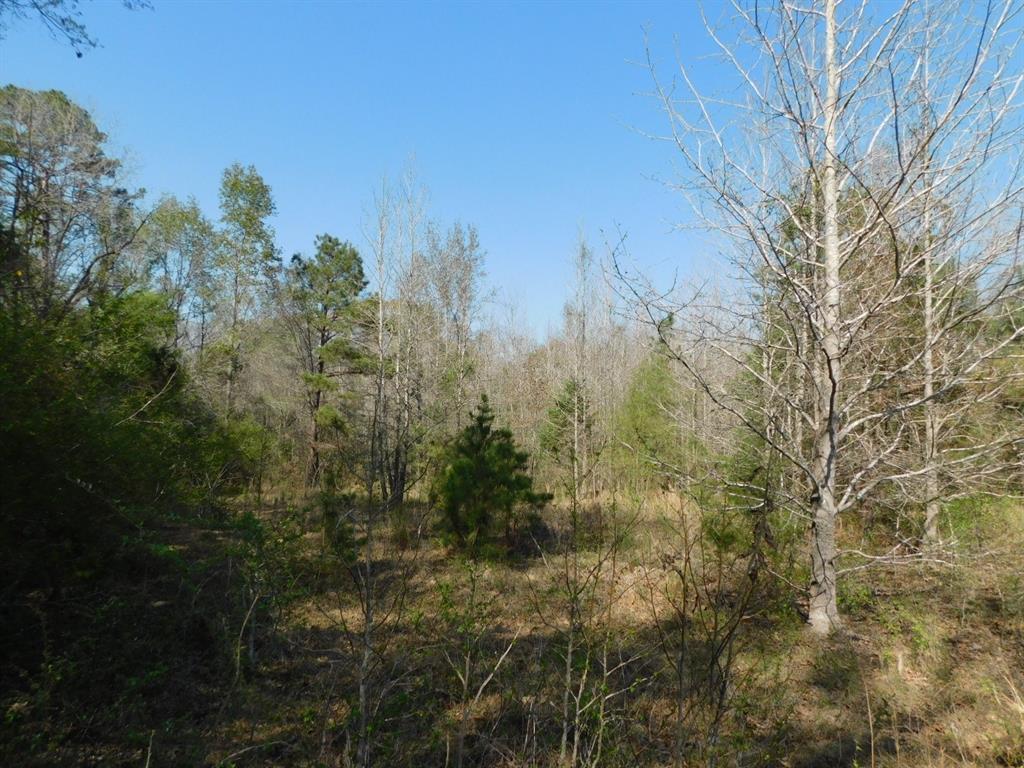 0 Cox Road Property Photo 23