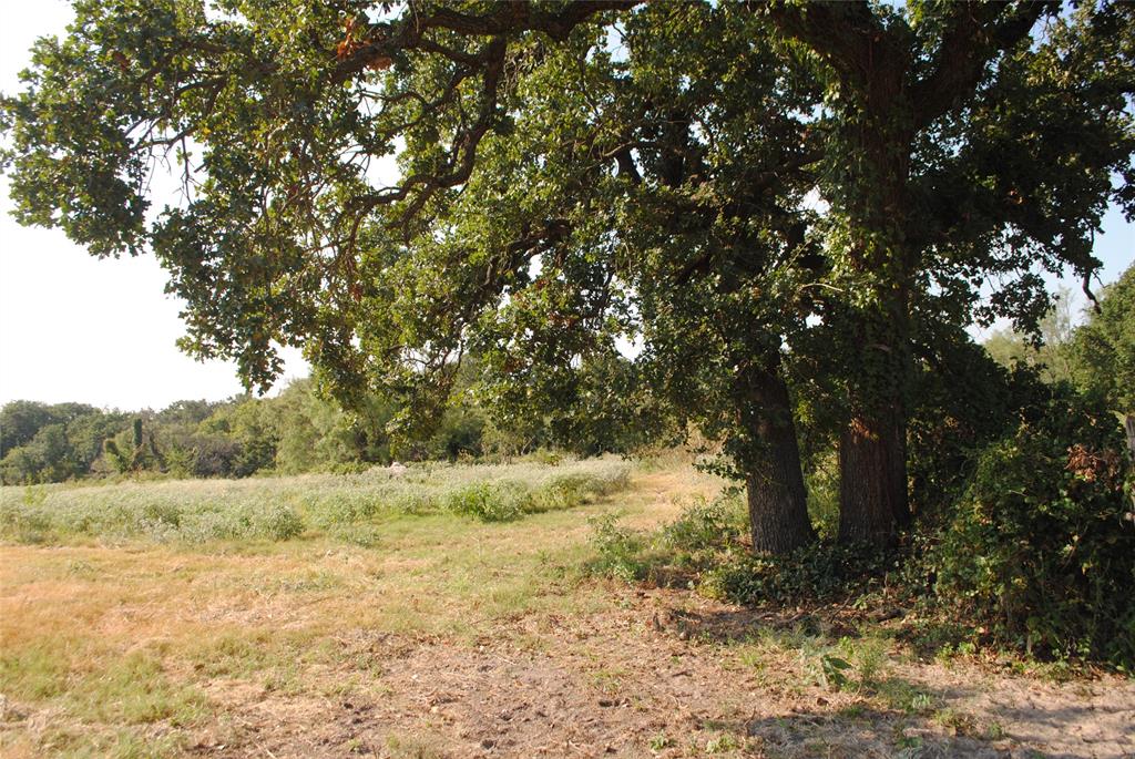 Tbd Cr 131 Property Photo 2