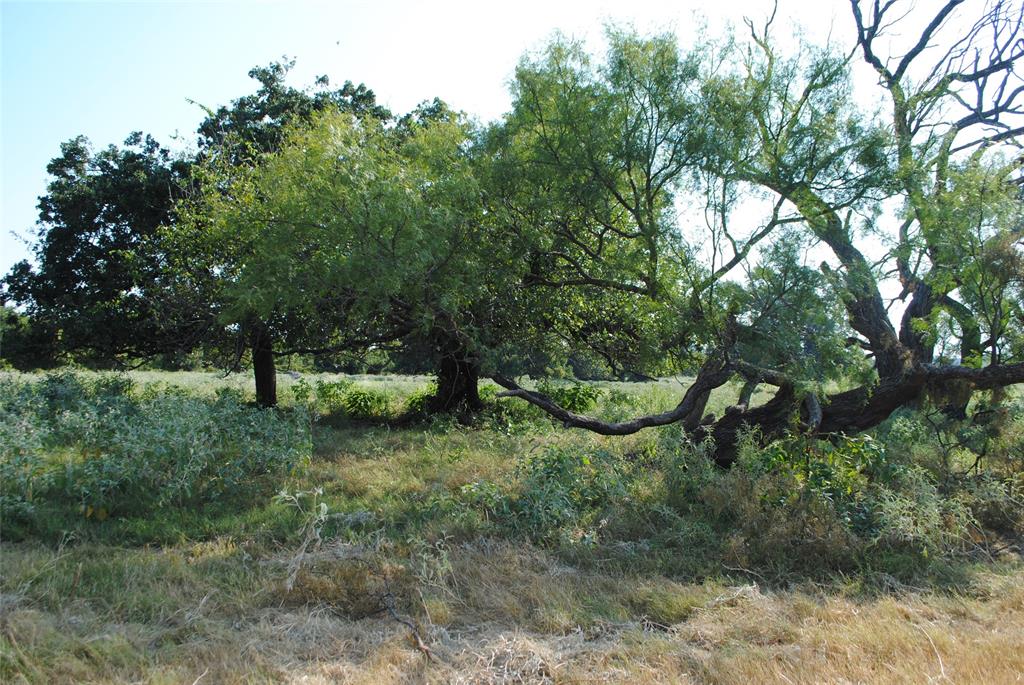 Tbd Cr 131 Property Photo 3