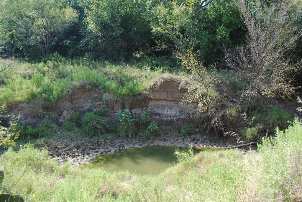 Tbd Cr 131 Property Photo 8
