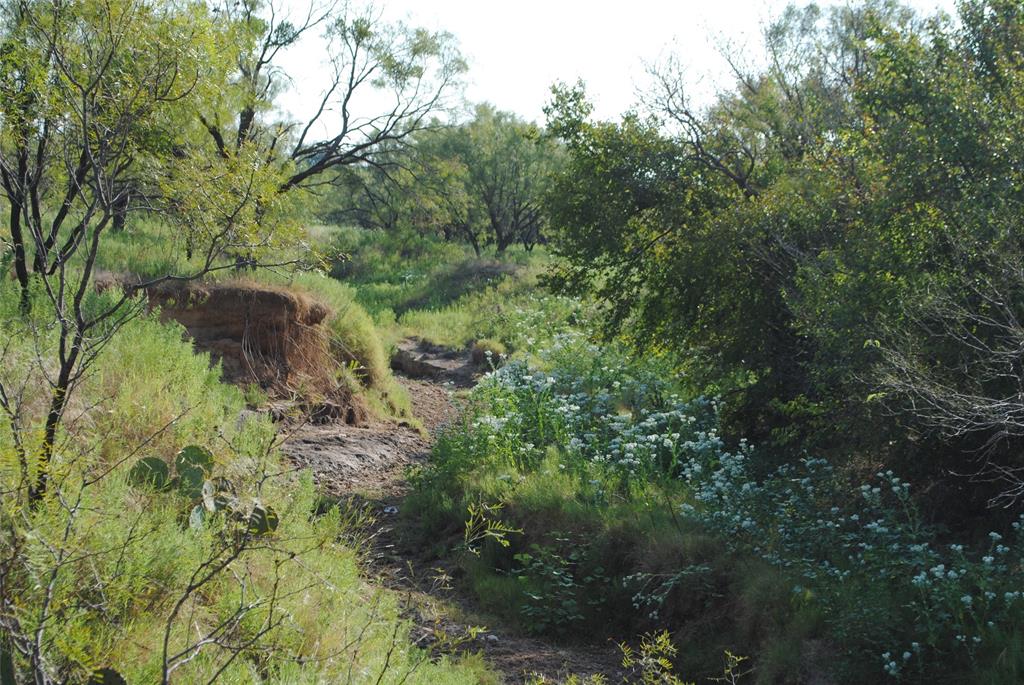 Tbd Cr 131 Property Photo 10