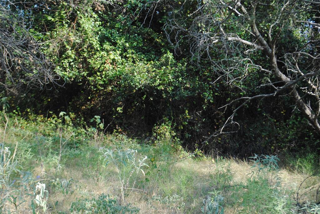Tbd Cr 131 Property Photo 11