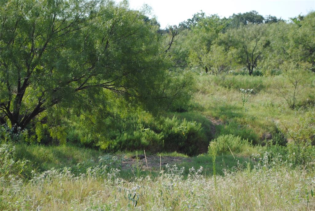 Tbd Cr 131 Property Photo 12