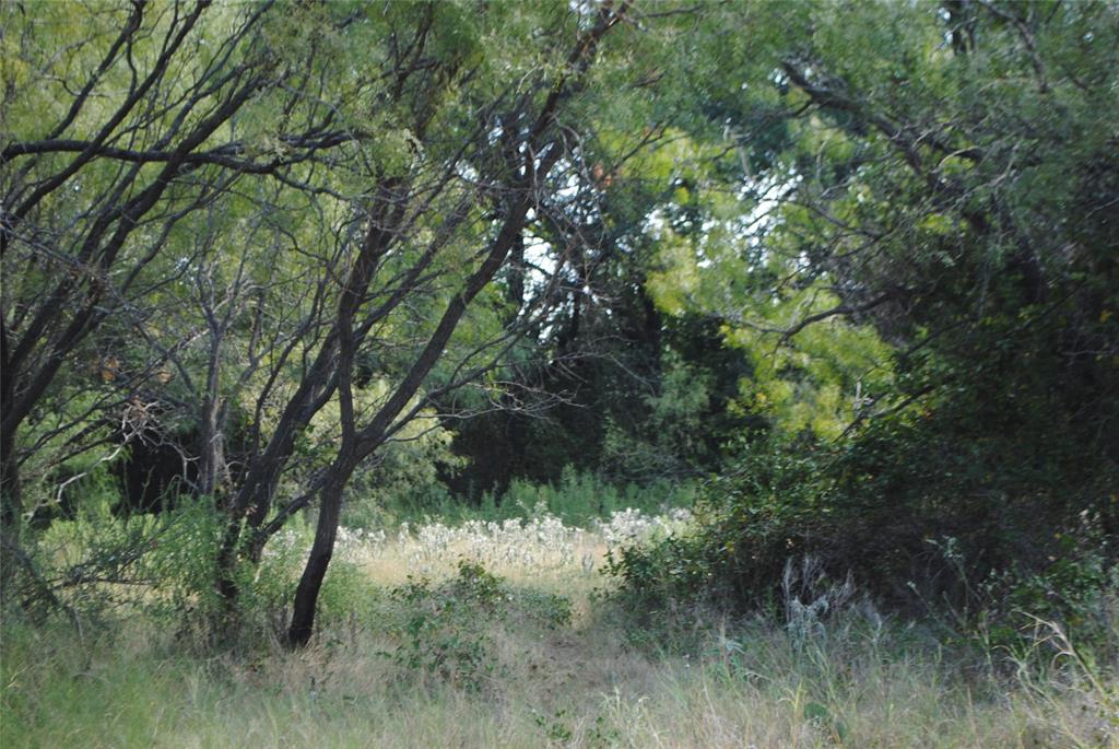 Tbd Cr 131 Property Photo 13