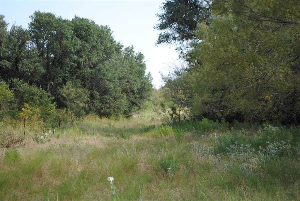 Tbd Cr 131 Property Photo 14
