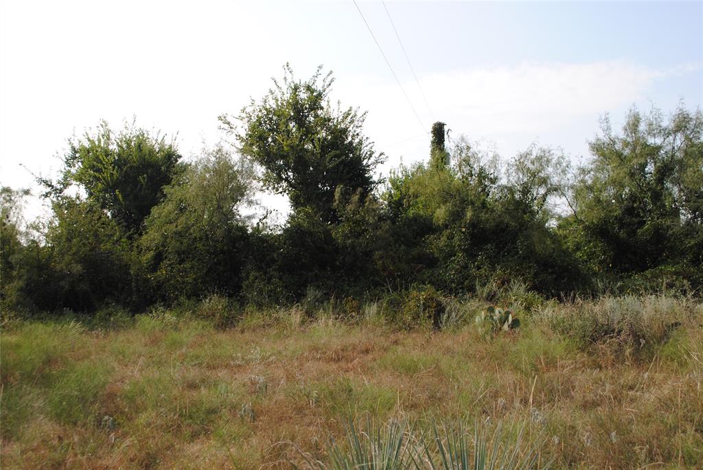 Tbd Cr 131 Property Photo 15