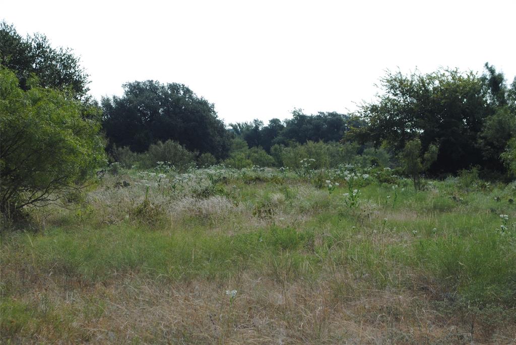Tbd Cr 131 Property Photo 16