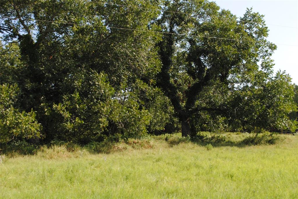 Tbd Cr 131 Property Photo 20