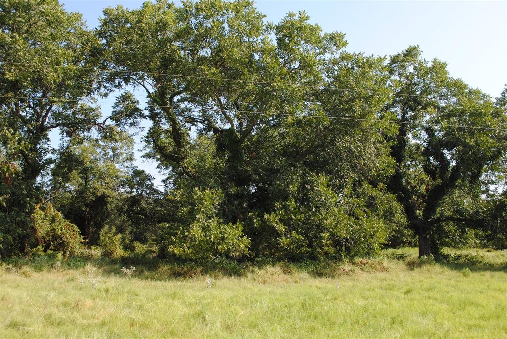 Tbd Cr 131 Property Photo 21