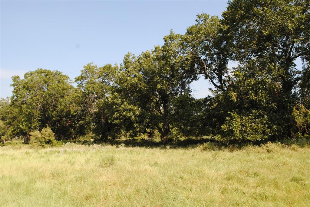 Tbd Cr 131 Property Photo 22