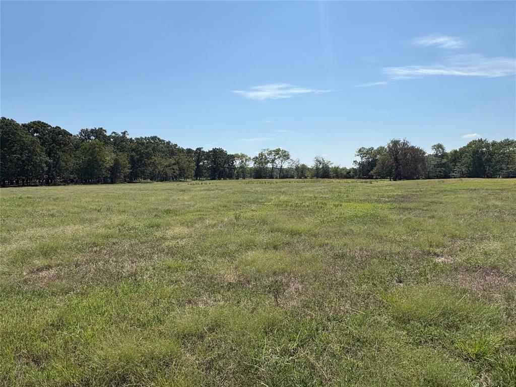 Tbd 1 County Road 1168 Tract 1 Property Photo 1