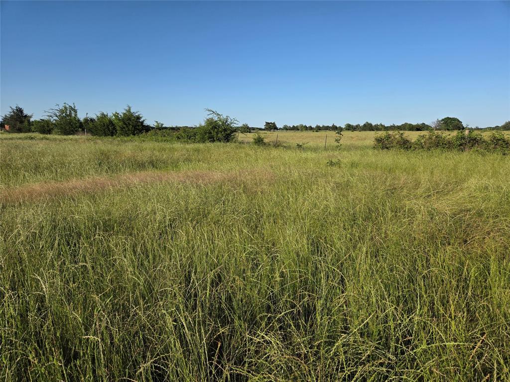 Tbd C. R. 2610 Property Photo 4