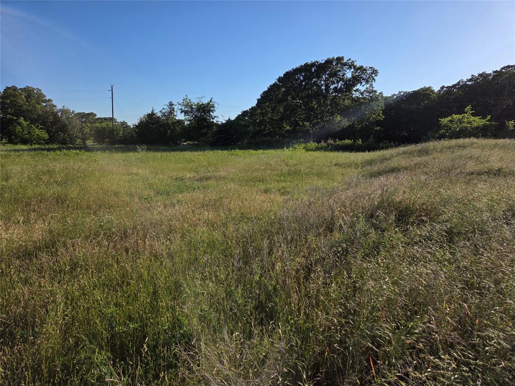 Tbd C. R. 2610 Property Photo 6