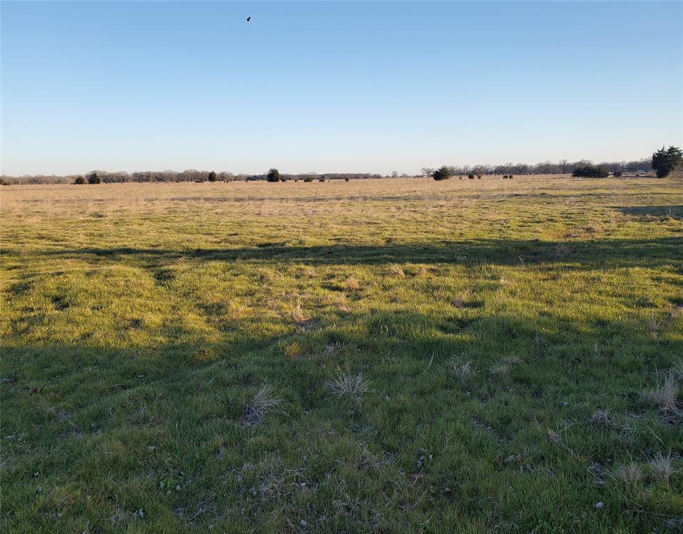 Tbd C. R. 2610 Property Photo 9