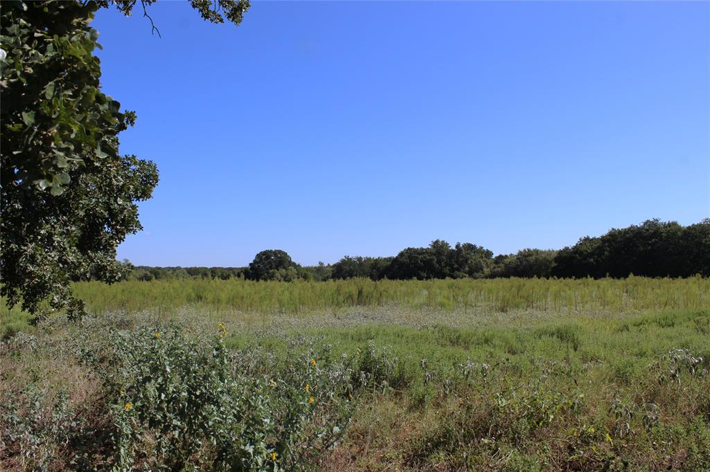 165 County Road 315 Property Photo 2