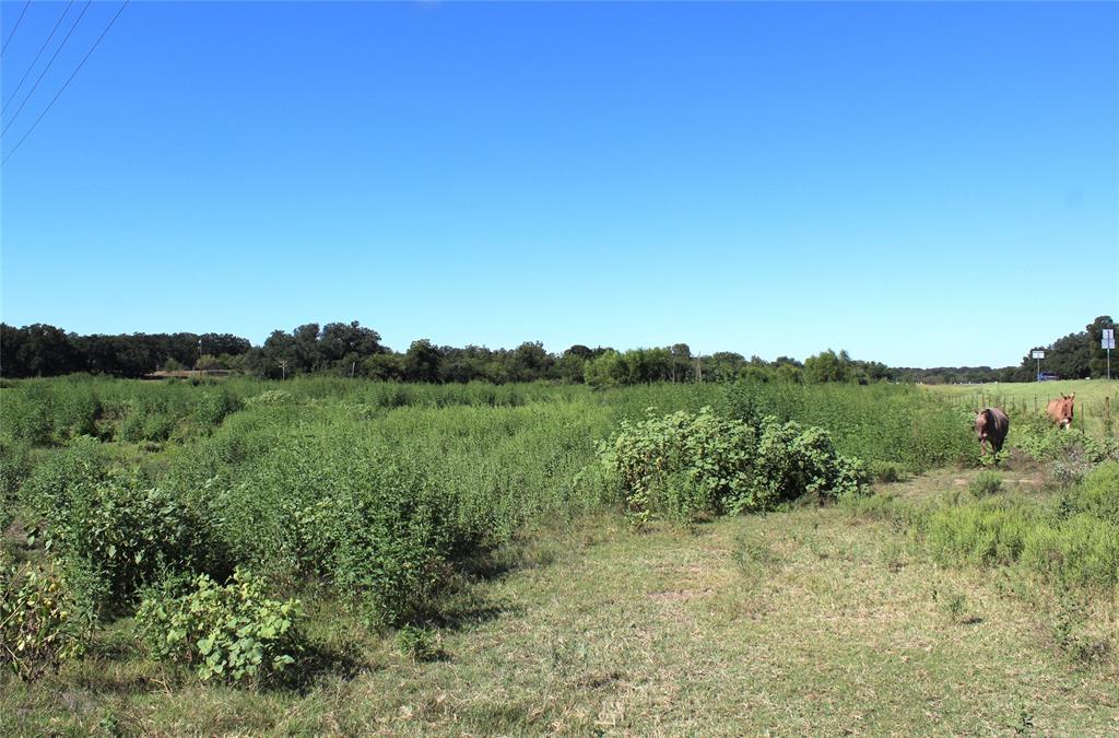 165 County Road 315 Property Photo 4