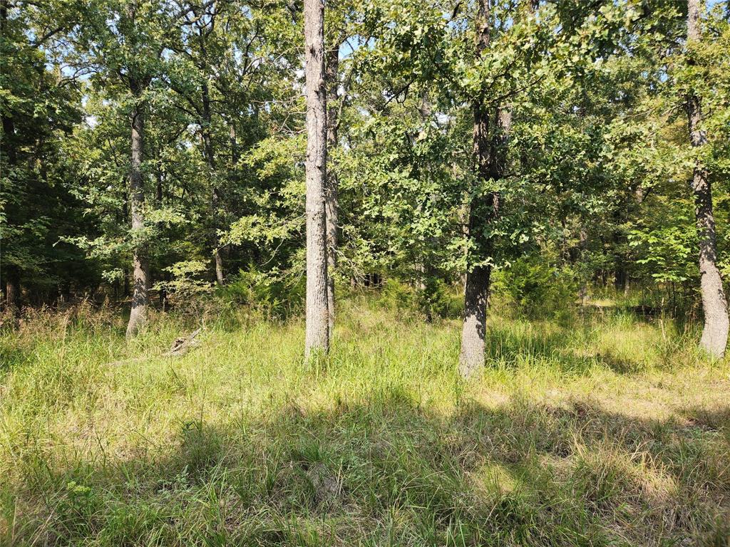 Lot 31 Fox Point Road Property Photo 1
