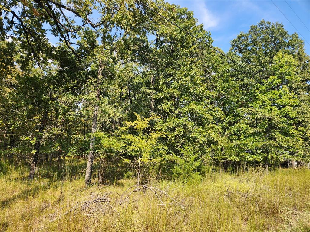 Lot 31 Fox Point Road Property Photo 4