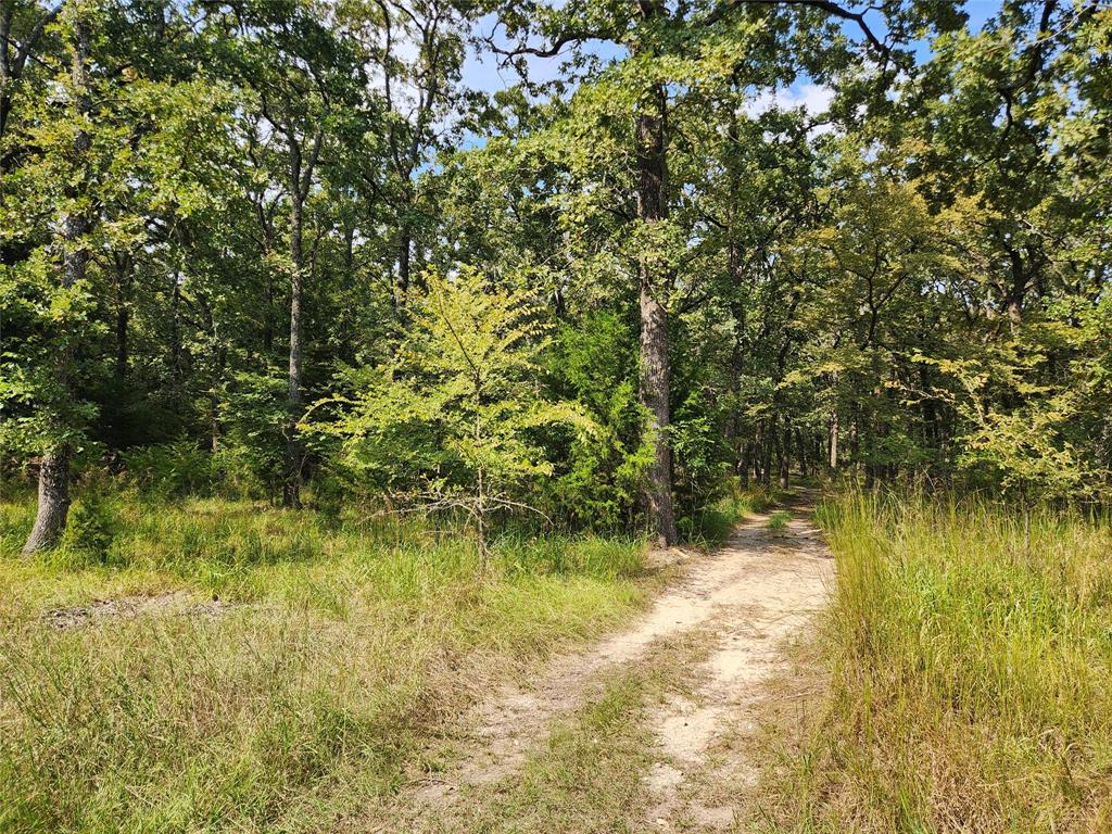 Lot 31 Fox Point Road Property Photo 5