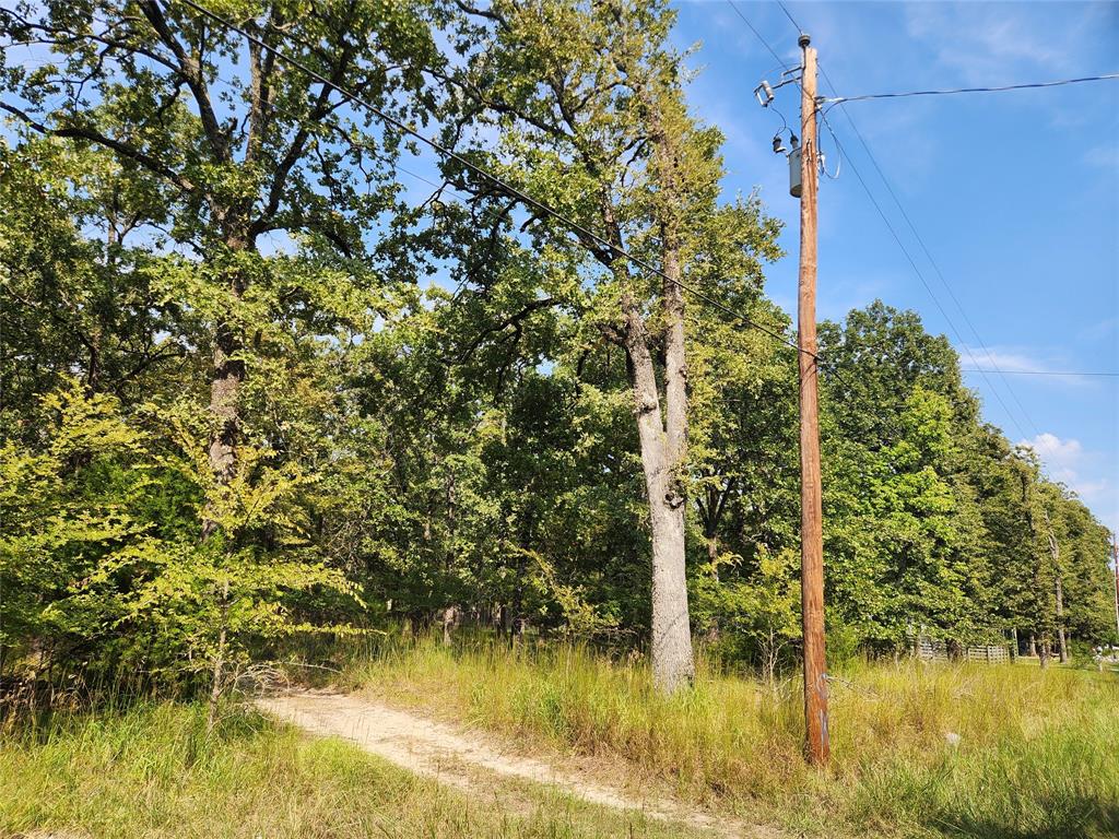 Lot 31 Fox Point Road Property Photo 6