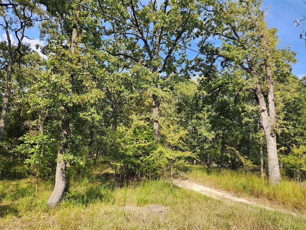 Lot 31 Fox Point Road Property Photo 7