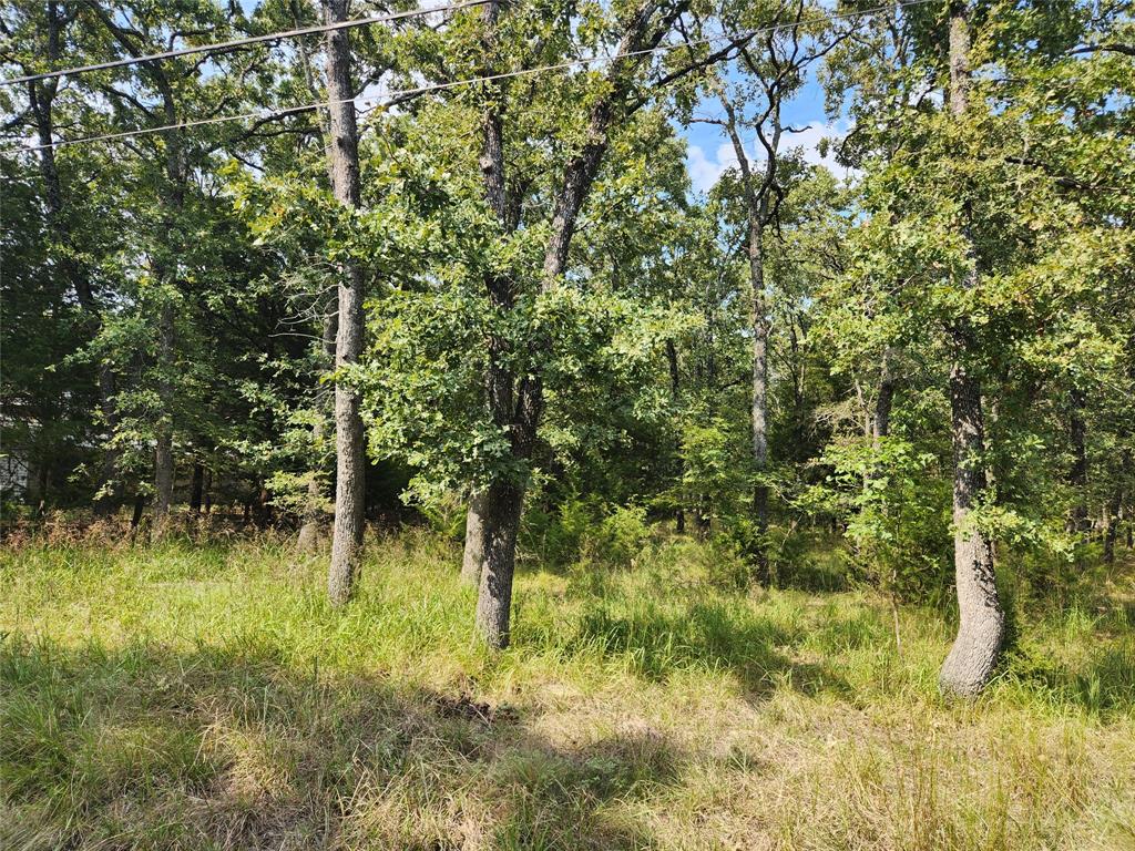 Lot 31 Fox Point Road Property Photo 8