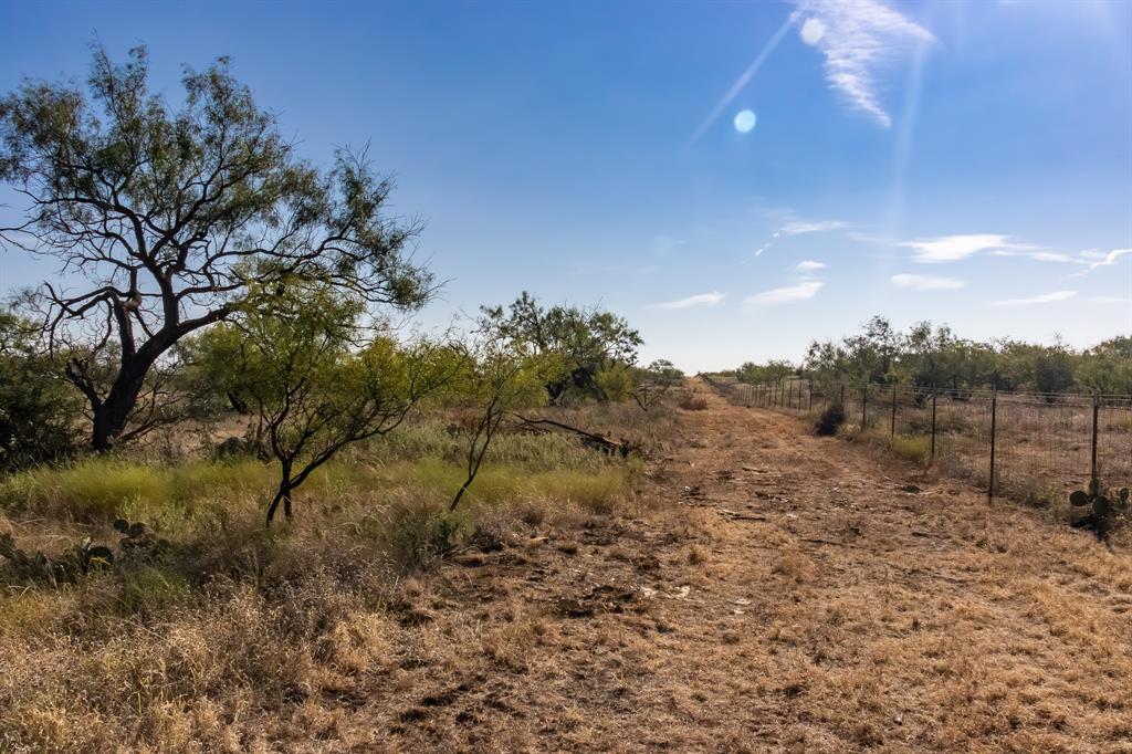 Tbd County Road 242 Property Photo 4