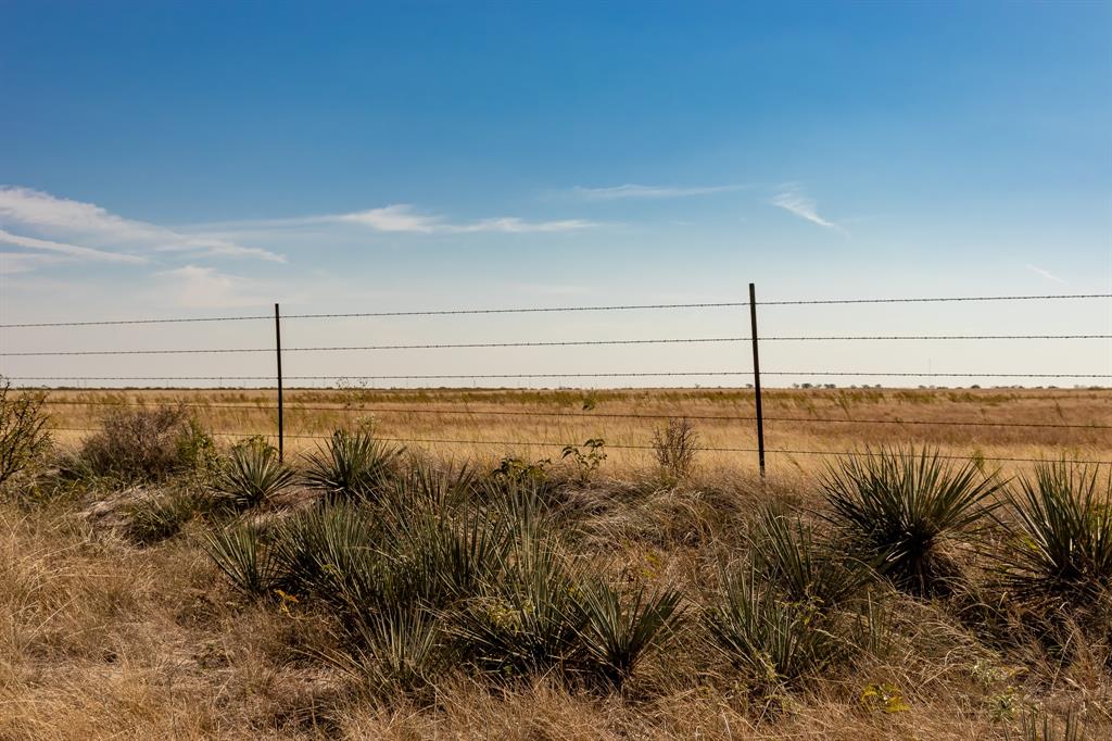 Tbd County Road 242 Property Photo 18