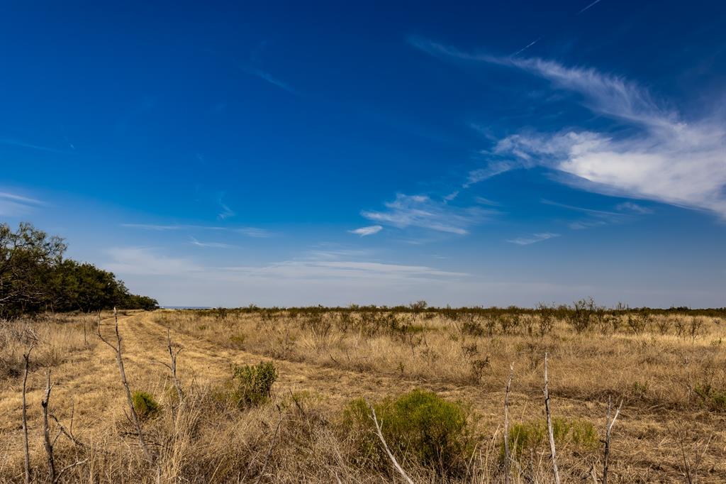 Tbd County Road 242 Property Photo 21