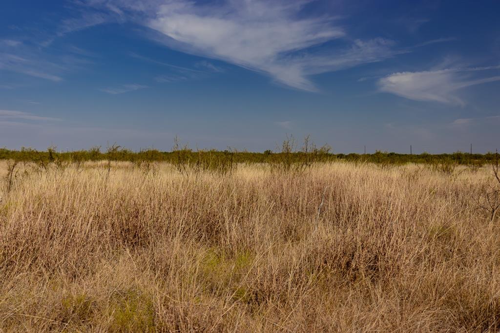 Tbd County Road 242 Property Photo 22