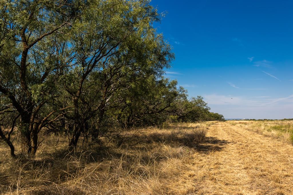 Tbd County Road 242 Property Photo 33