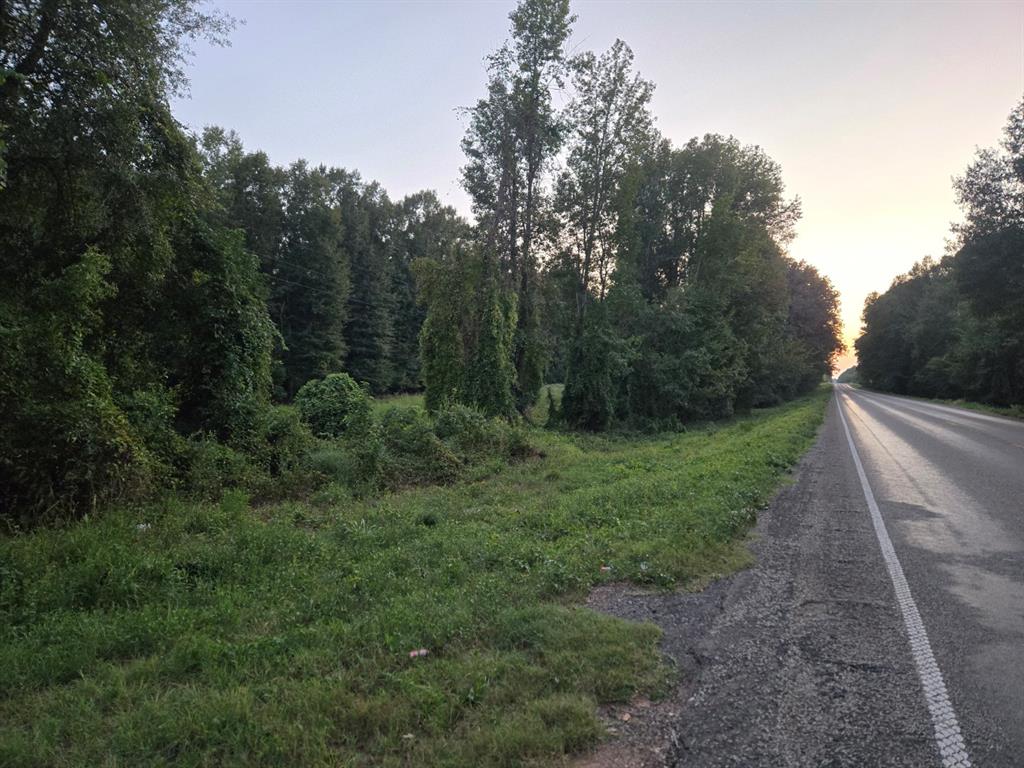 Tbd-1 Fm 2517 Property Photo 5