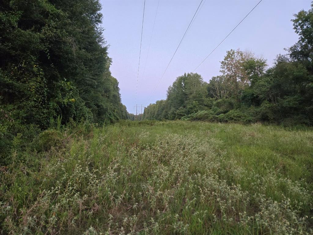 Tbd-1 Fm 2517 Property Photo 6