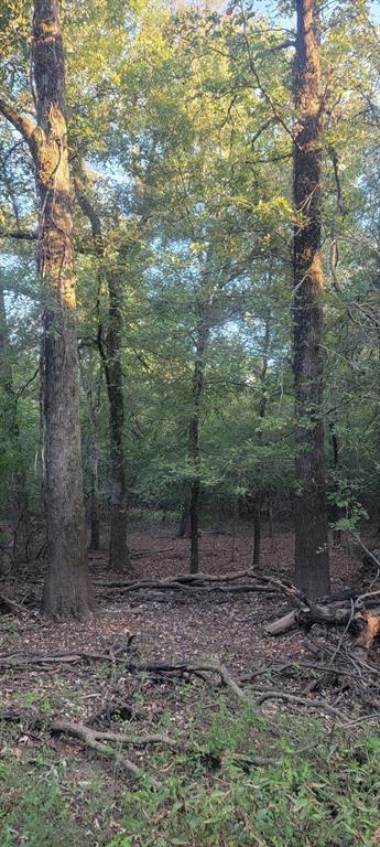 Tbd-1 Fm 2517 Property Photo 10