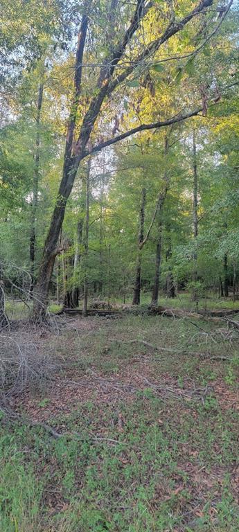 Tbd-1 Fm 2517 Property Photo 11