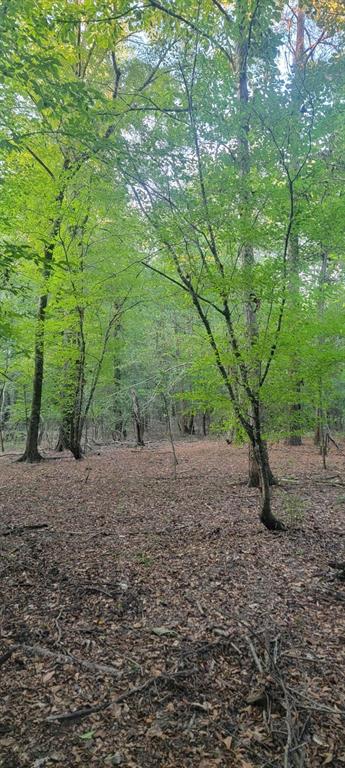Tbd-1 Fm 2517 Property Photo 13