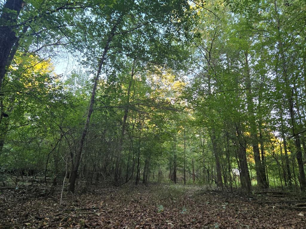 Tbd-1 Fm 2517 Property Photo 14