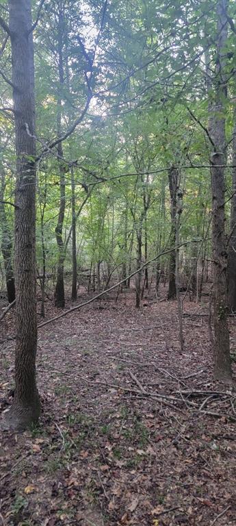 Tbd-1 Fm 2517 Property Photo 16