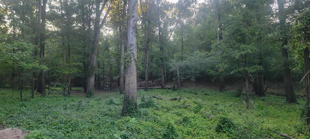 Tbd-1 Fm 2517 Property Photo 17