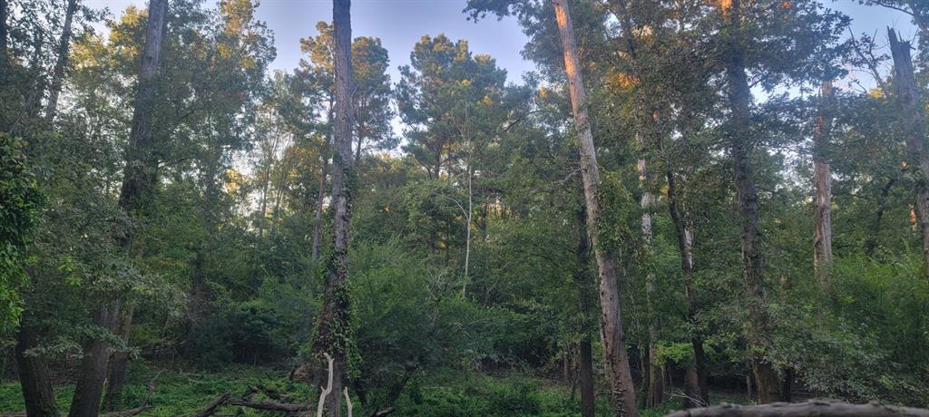 Tbd-1 Fm 2517 Property Photo 18